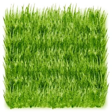 Green grass vector background Illustrazione stock