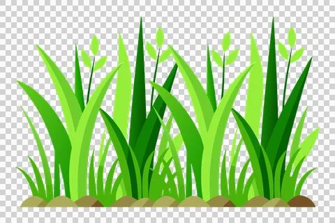 Green grass vector illustrations in flat style, green grass icon 스톡 일러스트