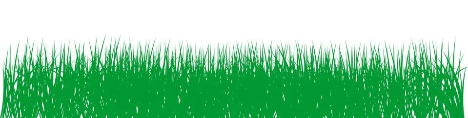 Green grass vector on isolated white background. Stock Illustration