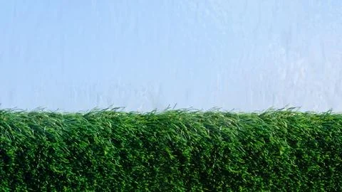 Green grass wall texture background and water jets on a glass waterfall flow Stock Photos