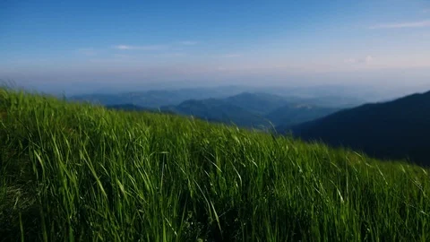 Green grass waving in the wind at the top of the mountain Stock Footage 117709468