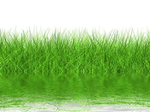 Green grass on a white background Stock Illustration