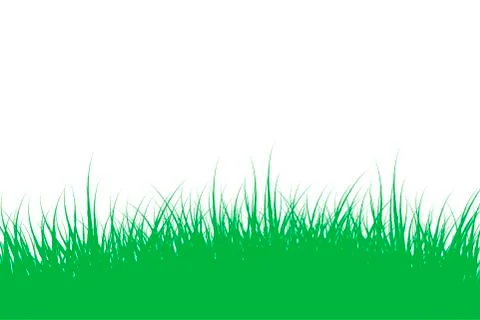Green grass on white background Stock Illustration