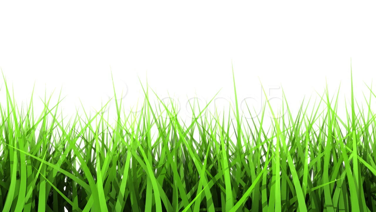 ежик трава лужайка без смс