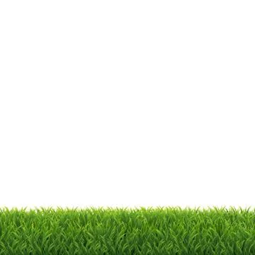 Green Grass White Background Stock Photos