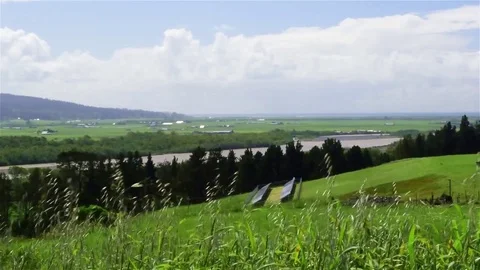 Green Grass White Clouds Hill Video stock 75012447