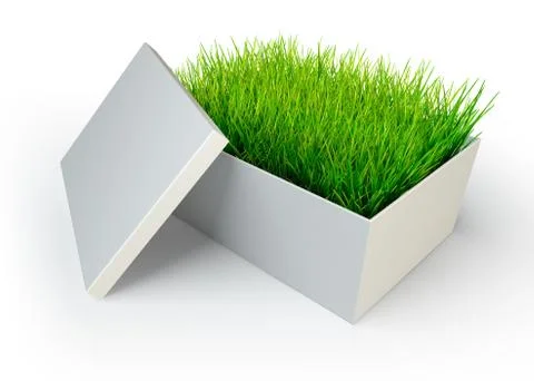 Green grass in white open box Stock Illustration
