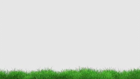 Green Grass Wind Noise Loop Stock Footage 303613864