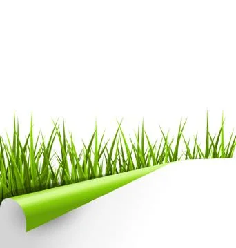 Green grass with wrapped paper sheet isolated on white. Floral e Stock Illustration