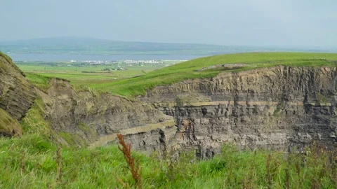 The green grasses growing in Moher Cliff in Ireland Stock Footage
