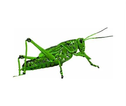 Green grasshopper 스톡 일러스트