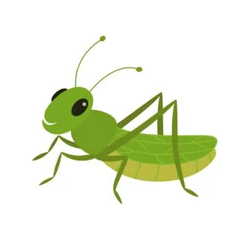 Green grasshopper on a white background Stock Illustration