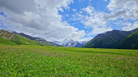 Green grassland and snow mountain natural landscape in Xinjiang. Stock Footage 202170754