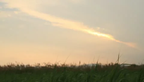 Green grassland at sunset Stock Footage 11145003