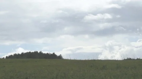 Green grassy field and trees against a blue sky with clouds Stock Footage 78090609
