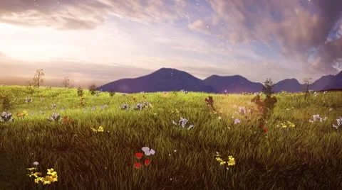 Green grassy field 스톡 동영상 10788389