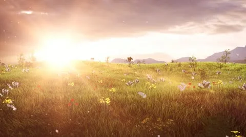 Green grassy field 스톡 동영상 10806110