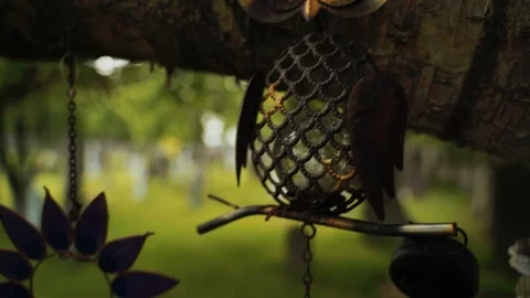 Green Graveyard Stock Footage 108633992