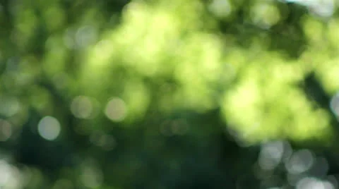 Green-gray background Stock Footage 25427152