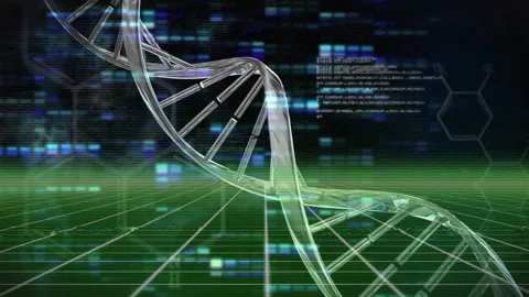 Green grid lighting activating DNA helix rotating while code fading visualizing Stock Footage 311217292
