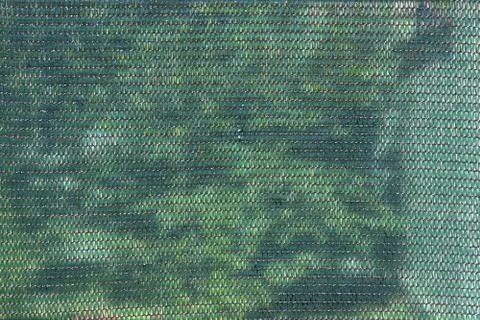 Green grid 库存照片