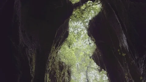 The green grotto Stock Footage 75648263