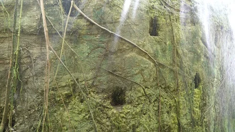 Green grotto in Mexico Stock Footage 100471530