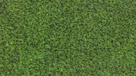 Green ground resenteppi grass- black dirt sand texture 스톡 일러스트