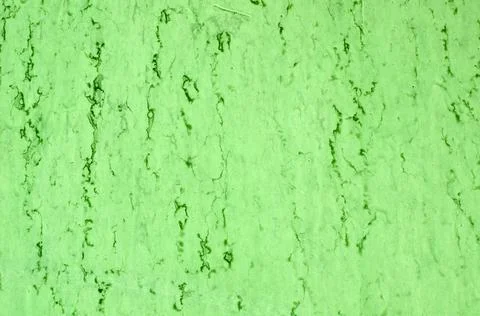 Green grunge background Stock-Fotos