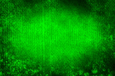 Green Grunge Video stock 335152