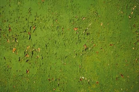 Green grunge rusty background texture. Stock Photos