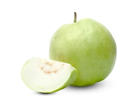 Green Guava fruit slice isolated on white background ,include clipping path Stock Photos