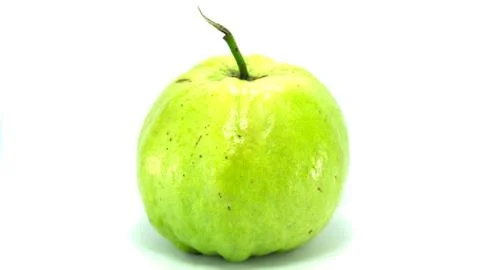 Green guava Stock Photos
