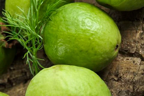 Green guava Stock Photos