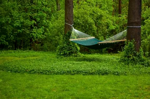 Green Hammock Hanging Between Two Trees in the Springtime Stock Photos