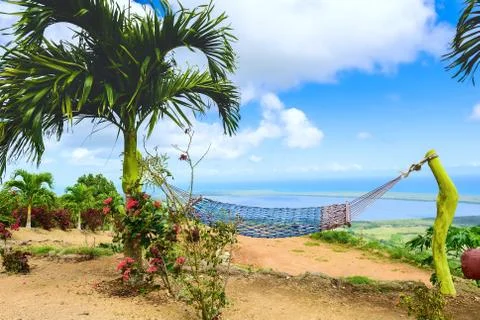 Green hammock Photos