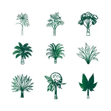 Green Hand Drawn Tree Set  Botanical Palm and Tropical Plant Silhouette 库存插图