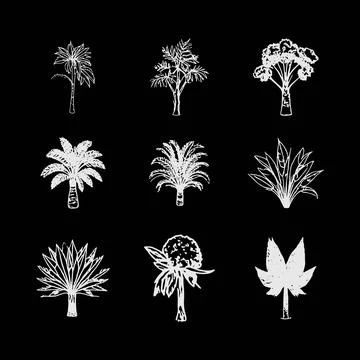 Green Hand Drawn Tree Set  Botanical Palm and Tropical Plant Silhouette Stock Illustration