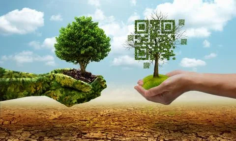 Green hands holding tree growing and holding dead tree shaped like qrcore i.. Stock Photos