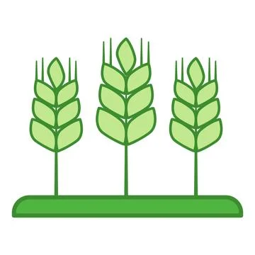 Green Harvest Icon. Vector Icon of Wheat Spikelets Growing in a Field. Orga.. Stock Illustration