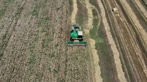 The green harvester is working in the field. Harvesting. Seed. Agricultural Vidéo 155280997