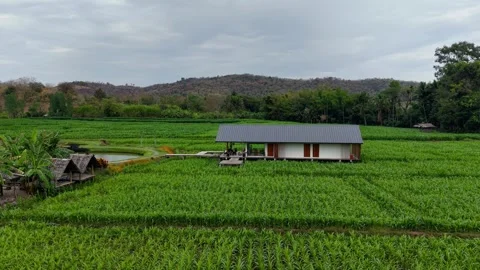 Green Haven: Aerial View of a Mountain Farm Video stock 302988852