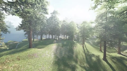 Green haven. A cinematic exploration through a sun drenched forest. Stock Footage 302790468