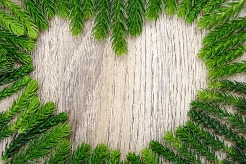 Green heart shape pine leaf on light wooden for background and texture. It .. Stock Photos