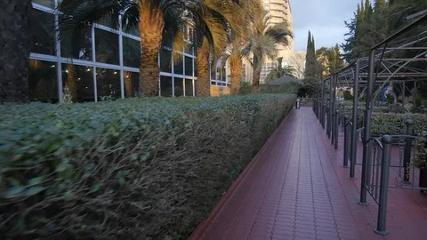 Green Hedge at the Hotel Stock Footage 98141193