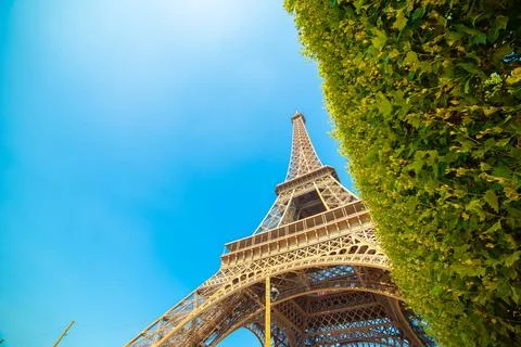 Green hedge by world famous Eiffel Tower on a sunny day Fotos de archivo