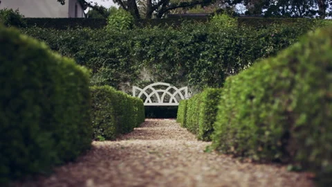 Green hedges lining a garden Stock Footage 278829837