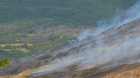 Green Helicopter fighting a forest fire Stock Footage 105806130