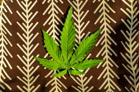 Green hemp leaf on a brown background with patterns. Medical herb. Stock Photos