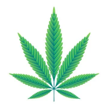 Green Hemp leaf vector illustration Stock Illustration